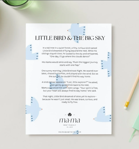 Children's book 'Little Bird & The Big Sky'